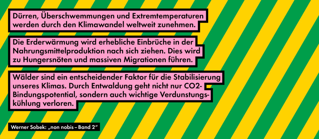 Non Nobis Ber Das Bauen In Der Zukunft Werner Sobek