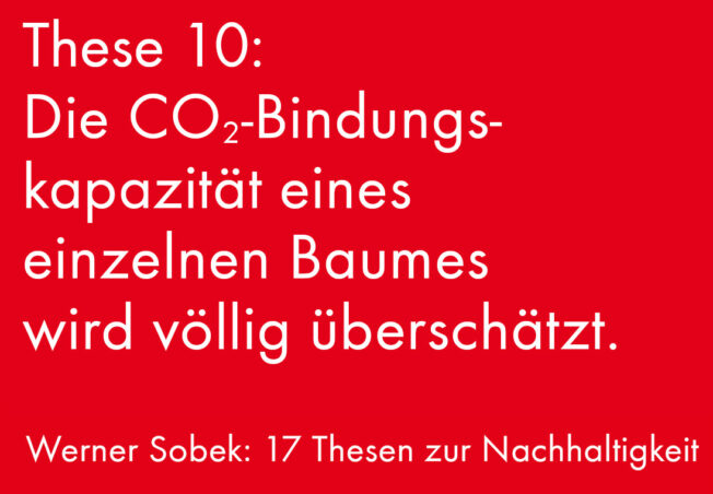 Die  CO₂-Bindungskapazität eines Baumes wird völlig überschätzt