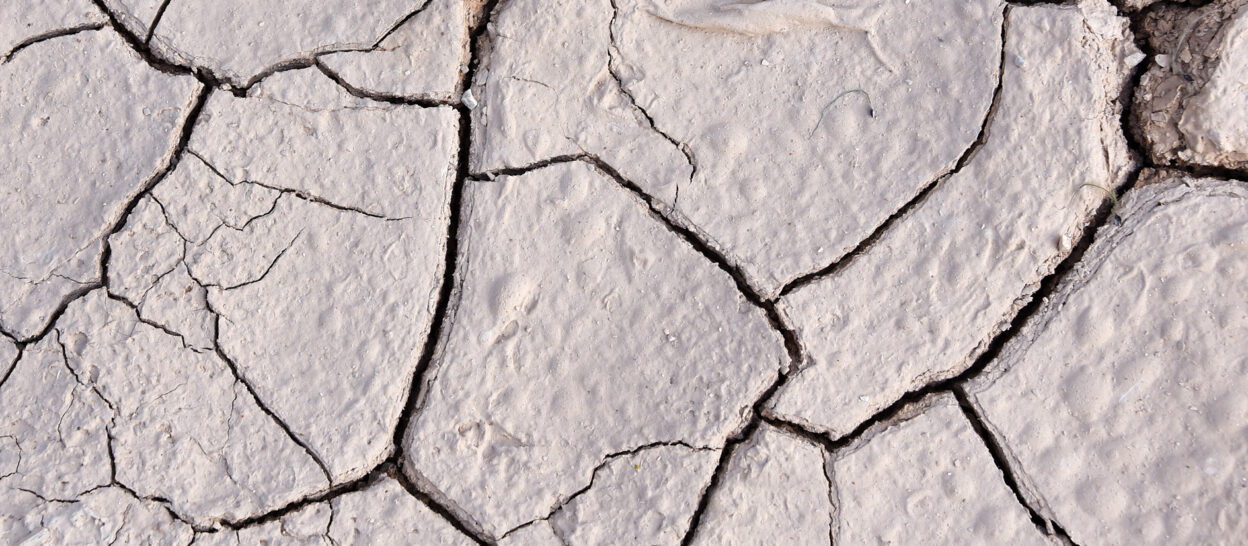 Dry,Cracked,Earth